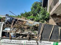 Best Moving and Downsizing Cleanouts  in Selma, NC